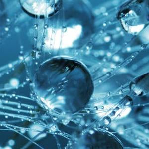 1-Methyl-2-pyrrolidinone OmniSolv(R) | Spectrum Chemicals Australia