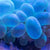 Sodium Iodohydroxyquinolinesulfonate TS (U.S.P. Test Solution) | Spectrum Chemicals Australia