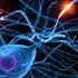 Glycerin Exceeds A.C.S. Specifications SpectroSolv (TM)