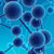 Penicillin/Streptomycin/Amphoteric.. | Spectrum Chemicals Australia