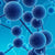 Tetranitro Blue Tetrazolium [for Biochemical Research] | Spectrum Chemicals Australia
