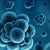 Nitro Blue Tetrazolium [for Biochemical Research] | Spectrum Chemicals Australia