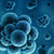 Amikacin disulfate salt | Spectrum Chemicals Australia