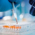 Thymol Blue TS USP Test Solution