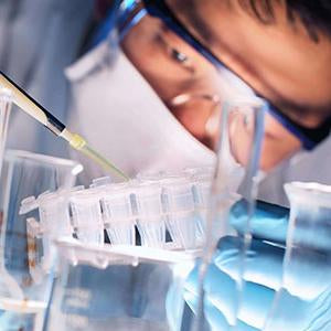 Fenbendazole USP | Spectrum Chemicals Australia