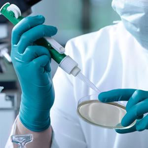 p-Hydroxyphenylpyruvic Acid | Spectrum Chemicals Australia